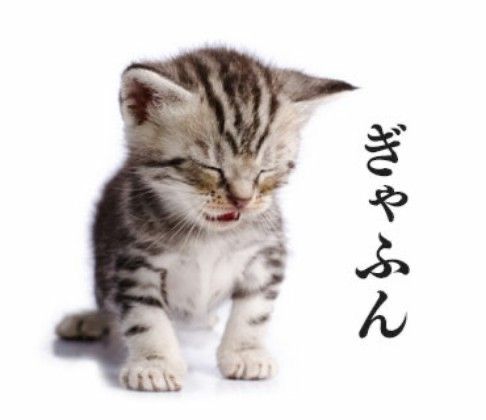 Luxene cover