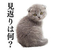 Miron cover
