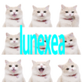 Lunexea Drum Kit Lite - Free