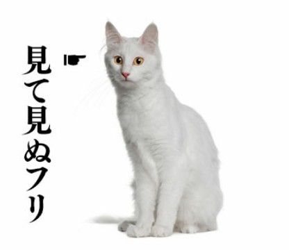 Noxie cover