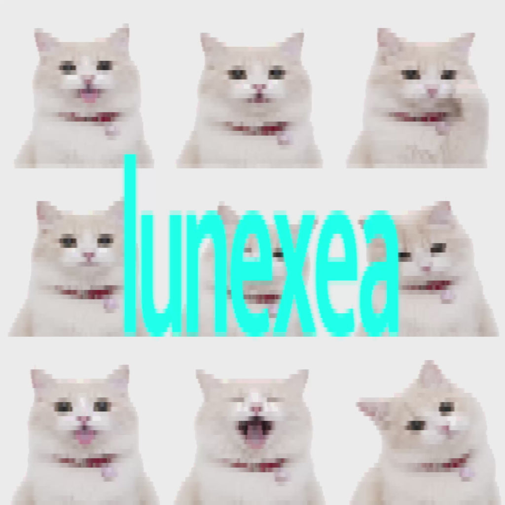 LUNEXEA DRUM KIT